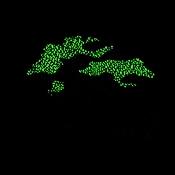 Belles Tree Service provides expert tree care and removal services in Pennsylvania with over 45 years of experience.