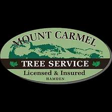 Mount Carmel Tree Service: Expert tree care and landscaping services in New Haven County since 2005.