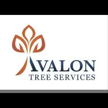 Avalon Tree Services offers expert tree care, including removal and trimming, focusing on customer satisfaction and safety.