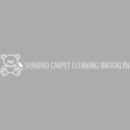 Expert cleaning services in Brooklyn focusing on carpets, upholstery, water damage, and mold remediation with 12+ years of experience.