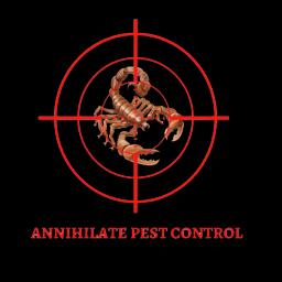 Expert pest control solutions for residential and commercial properties in El Paso, TX.