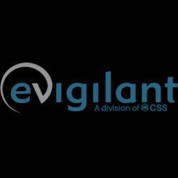 eVigilant provides advanced security solutions for critical infrastructure, focusing on physical security and customer needs.