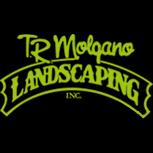 T.R. Molgano Landscaping provides expert landscaping services in Stamford and surrounding areas.
