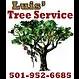 Luis's Tree Service offers professional tree removal and trimming in Little Rock since 2008, ensuring quality and reliability.