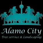 Alamo City Tree Service & Landscaping offers expert landscaping and tree care in San Antonio, TX, with over 10 years of experience.