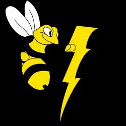 Beeline Electric Solutions: Your trusted Seattle-area electrician offering expert residential and commercial electrical services.