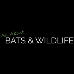 Humane wildlife removal experts with over 75 years of experience serving CT and NY.