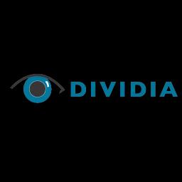 Dividia Technologies delivers customized security solutions, integrating advanced surveillance systems for businesses and homes.