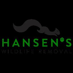 Hansen's Wildlife Removal provides humane pest control and wildlife rescue services in Charleston, SC.