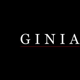 GINIA INC.: Consulting firm specializing in technology solutions for government and commercial sectors since 2002.