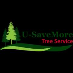 Affordable, expert tree services in Snellville and surrounding areas, with 30+ years of experience.
