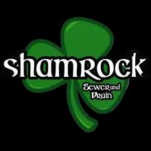 Reliable plumbing and drain cleaning services in St. Louis with 20+ years of experience.