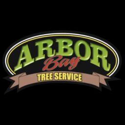 Arbor Bay provides expert tree services in Tampa, FL, ensuring quality care with a certified arborist for over 20 years.