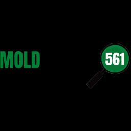 Mold Testers 561 offers expert mold inspection and remediation services in Florida with over 20 years of experience.