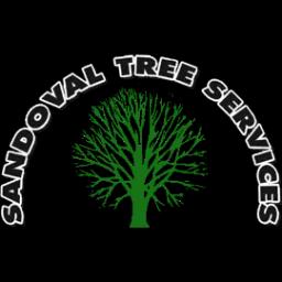 Expert tree care services in Norwalk, CT, including pruning, trimming, and stump grinding.