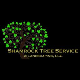 Family-owned Shamrock Tree Service offers expert tree care services in central CT since 2000, prioritizing community and tree health.
