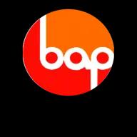 Burglar Alarm Products Inc. offers comprehensive security solutions, including alarms, access control, and fire protection.