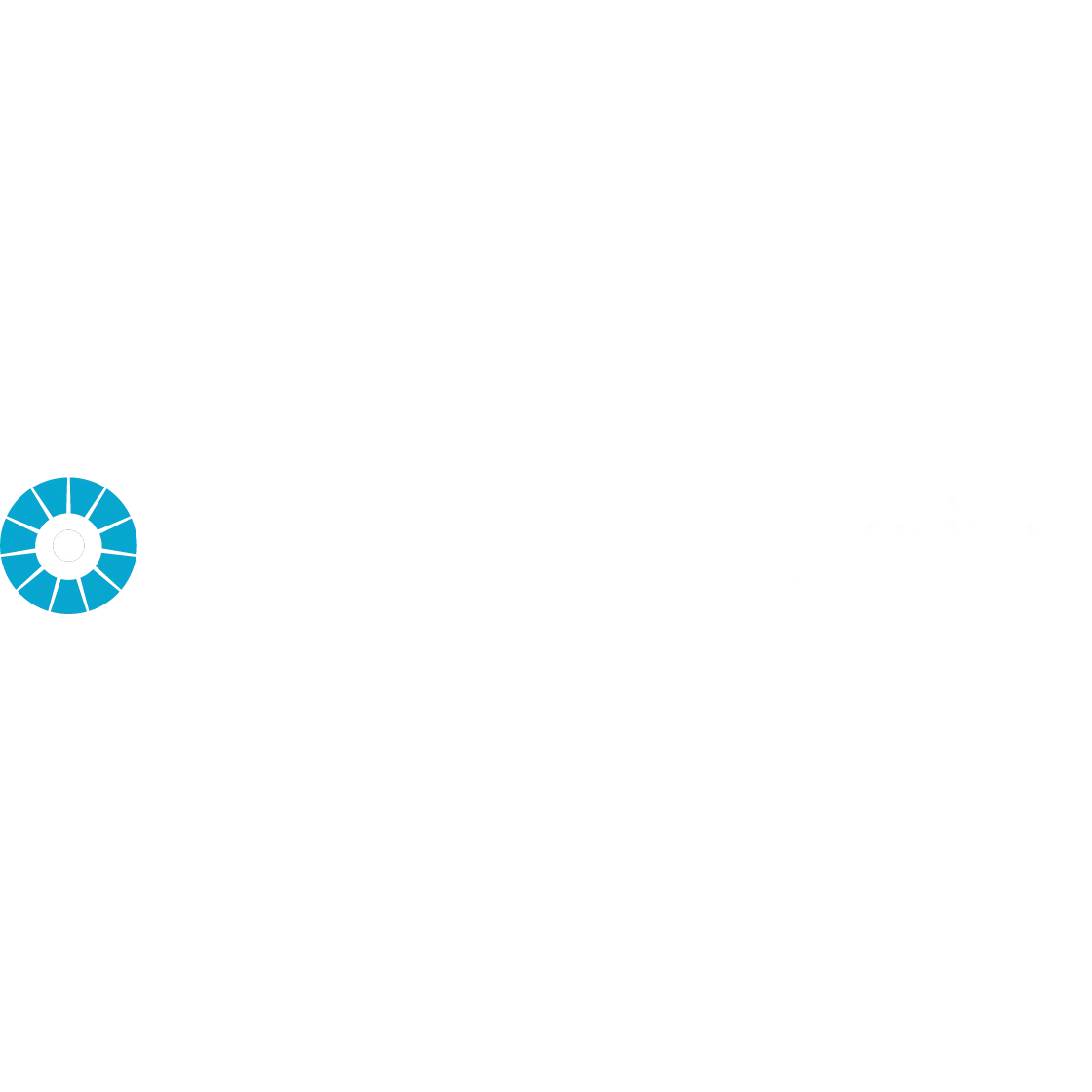 Alibi Security
