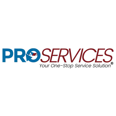 PRO SERVICES LLC