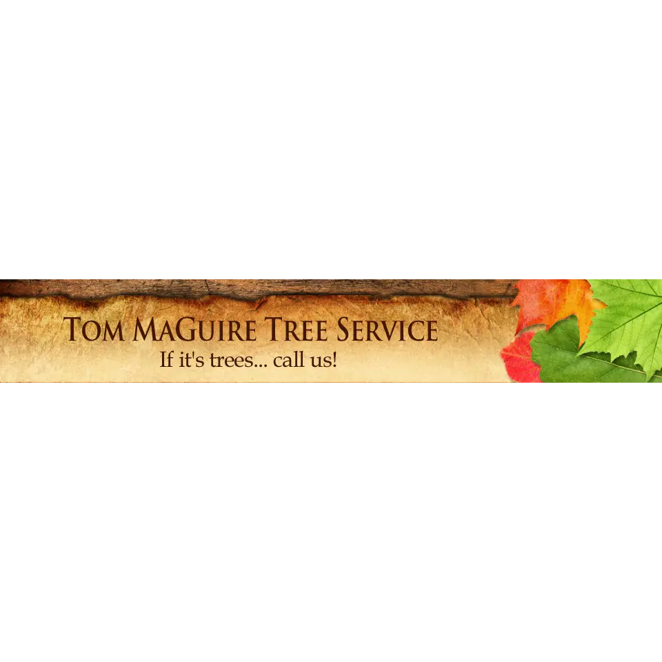 Tom Maguire Tree Service & Landscaping, Inc.