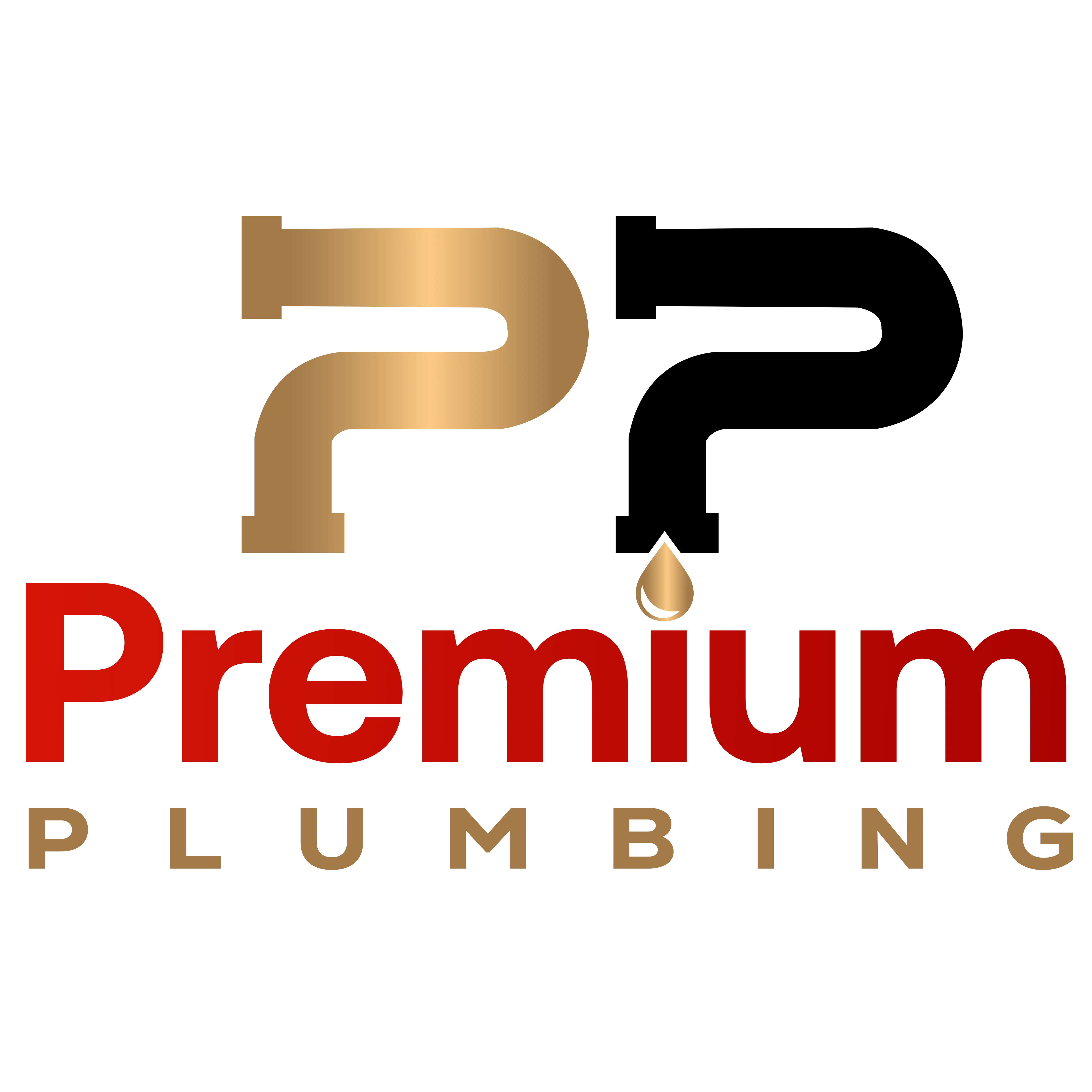 Premium Plumbing Corp