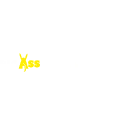 Big Ass Junk Removal