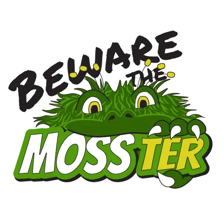 GRACE PROFESSIONAL SERVCS LLC