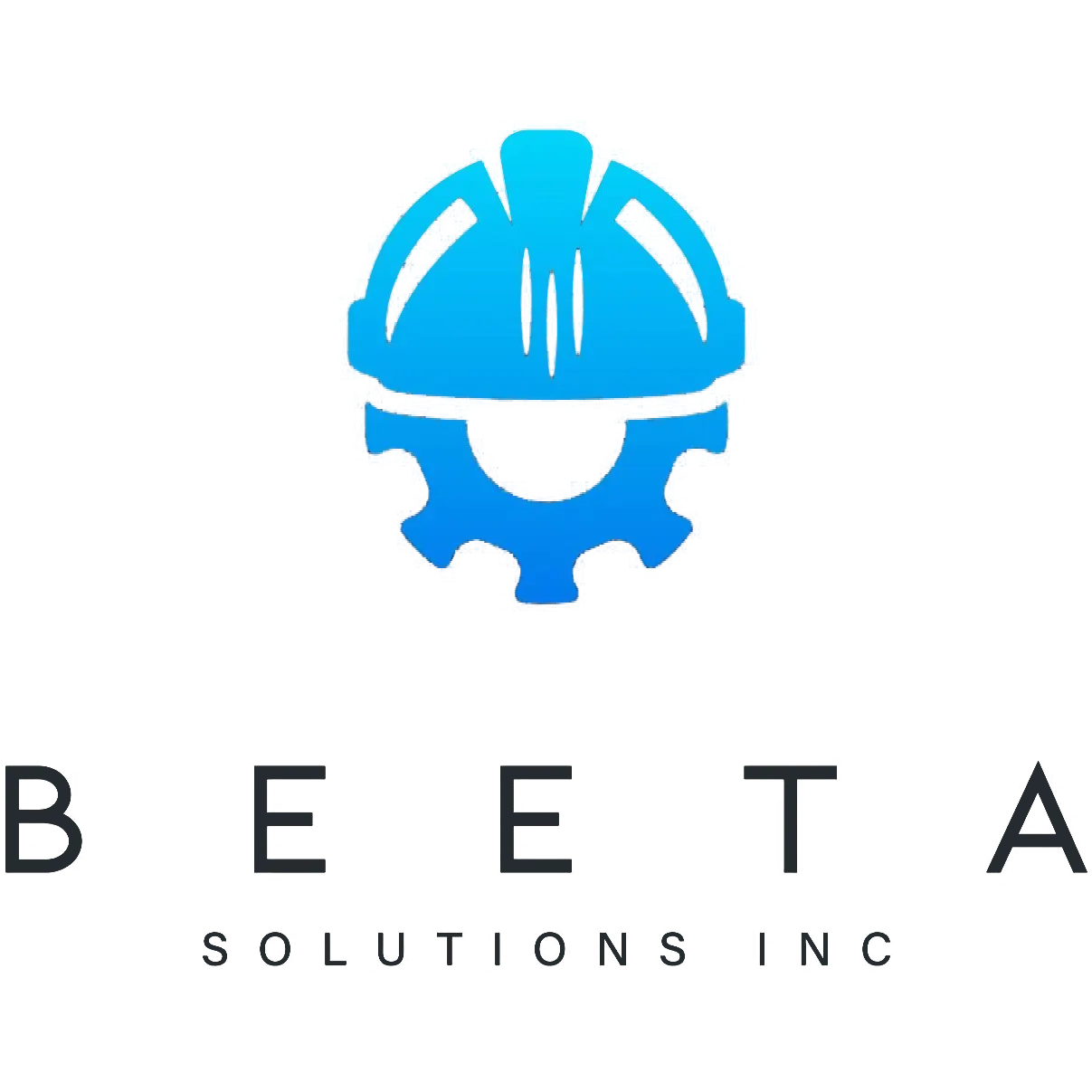 BEETA SOLUTIONS INC
