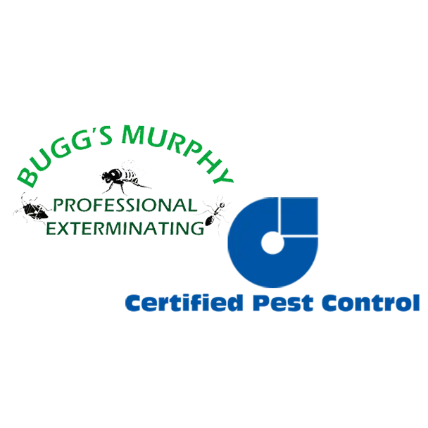 Bugg's Murphy Professional Exterminating