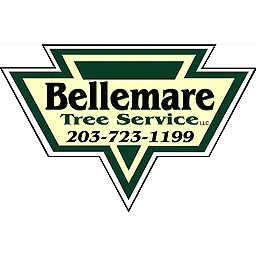 Bellemare Tree Service LLC