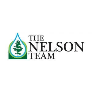 The Nelson Team, Inc.