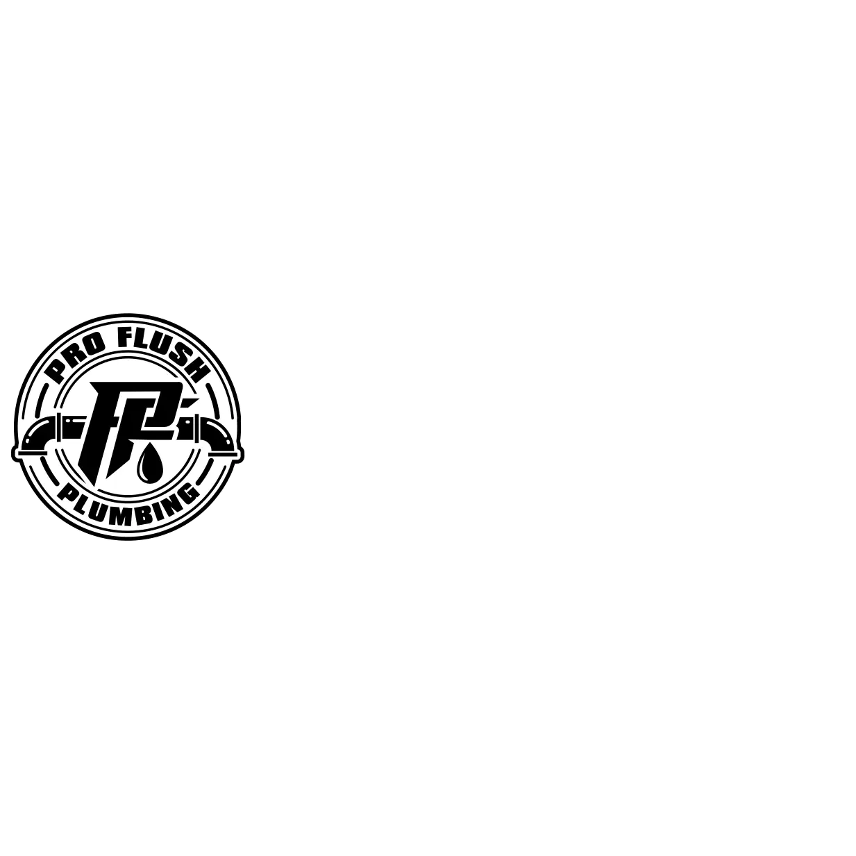 PRO FLUSH PLUMBING