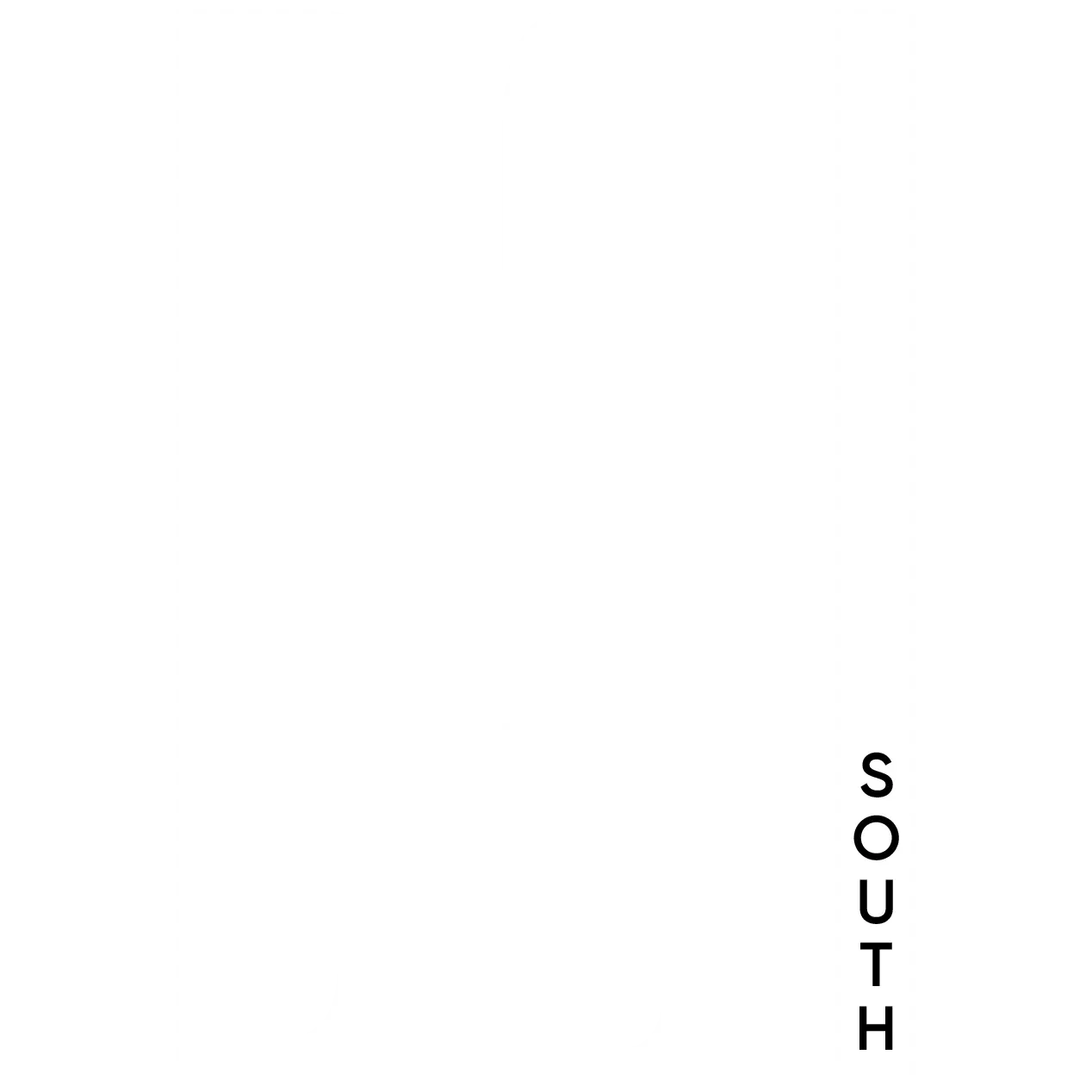 DSI SOUTH LLC