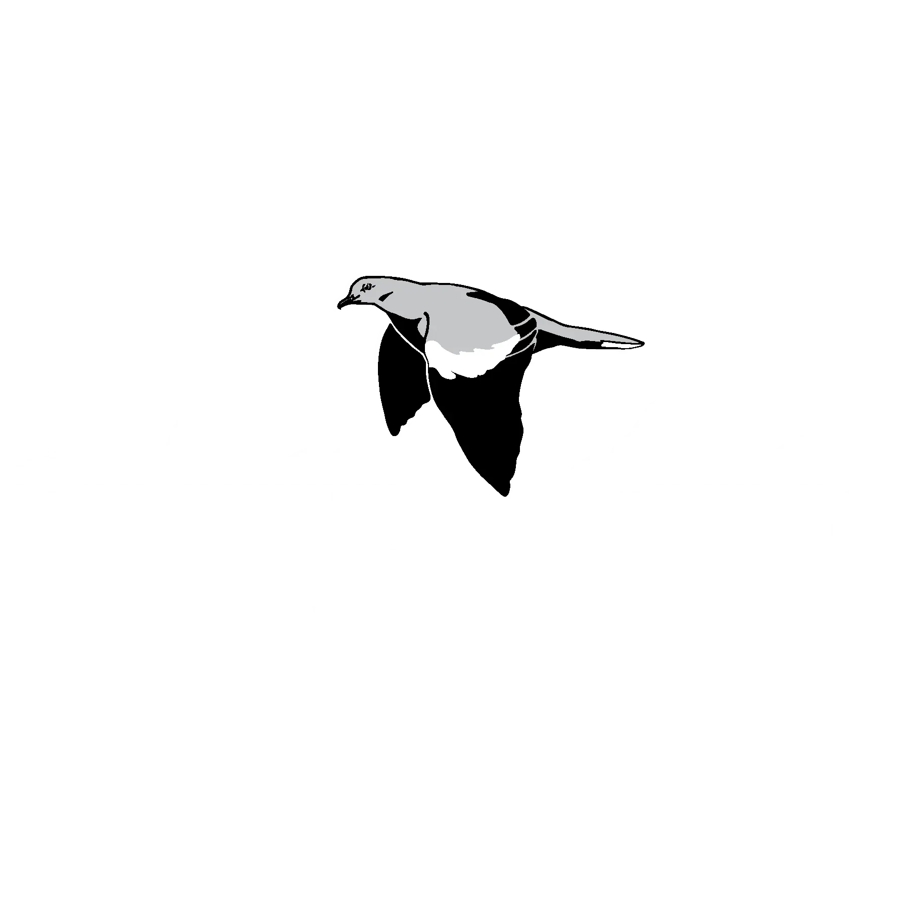White Wing Construction Services