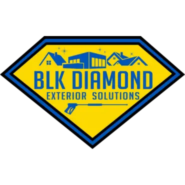 BLK Diamond Exterior Solutions