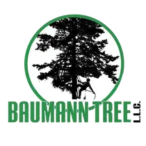 Baumann Tree LLC