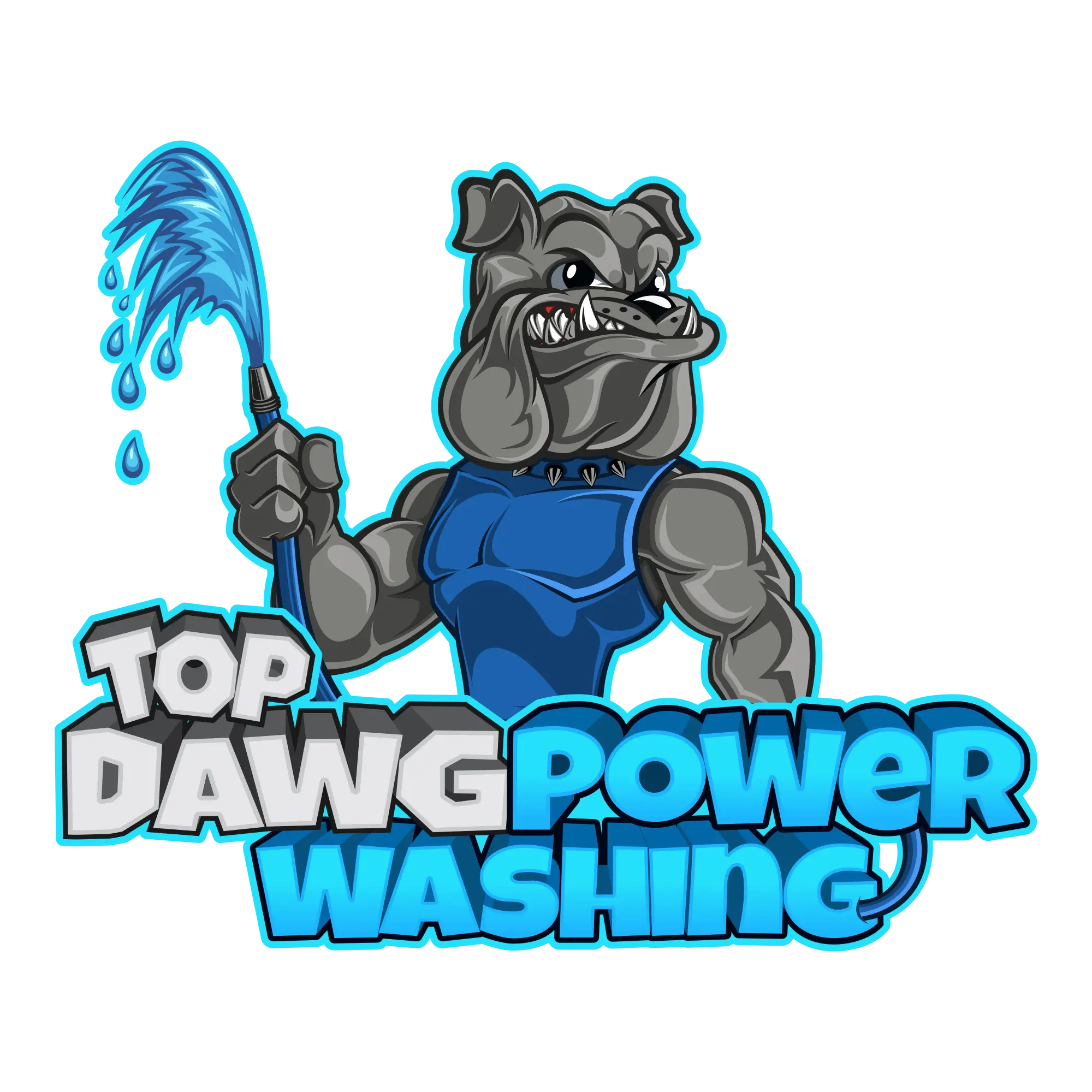 Top Dawg Power Washing, LLC