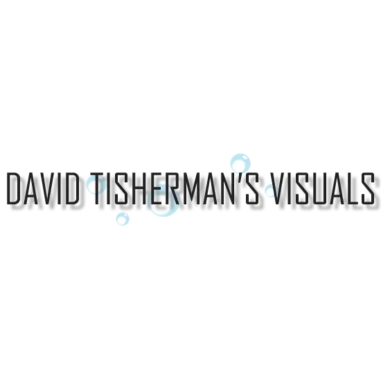 TISHERMAN'S DAVID VISUALS INC