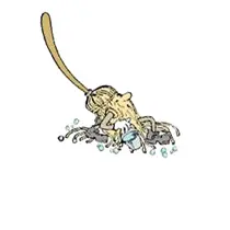 PMF Cleaning Service