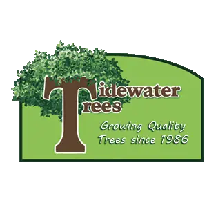 TIDEWATER TREE TRANSPLANTERS INC