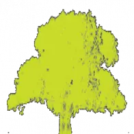 Patten Tree Service, LLC