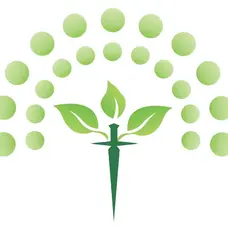 The Lint Surgeon LLC.