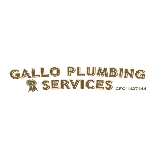 GALLO PLUMBING SERVICES INC