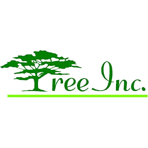 TREE INC LLC