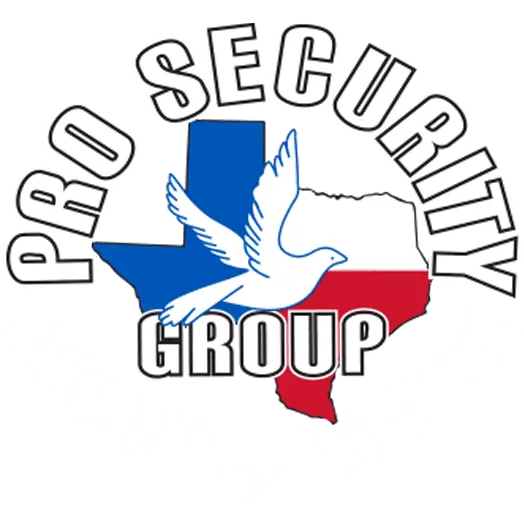 PRO SECURITY GROUP, INC