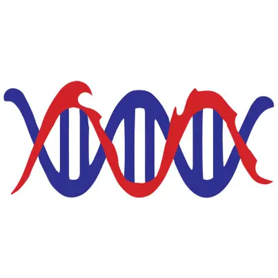 Morerock Refrigeration Services