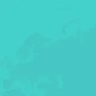 Geaux Clean Janitors, LLC