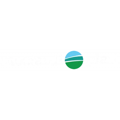 Mostardi Platt Environmental
