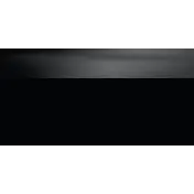 NORTHERN NEVADA EAGLE ELECTRIC