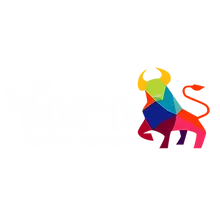 TORO KITCHEN CABINETS LLC